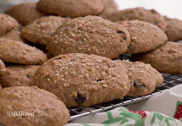 Coconut Almond Butter Chocolate Chip Cookies