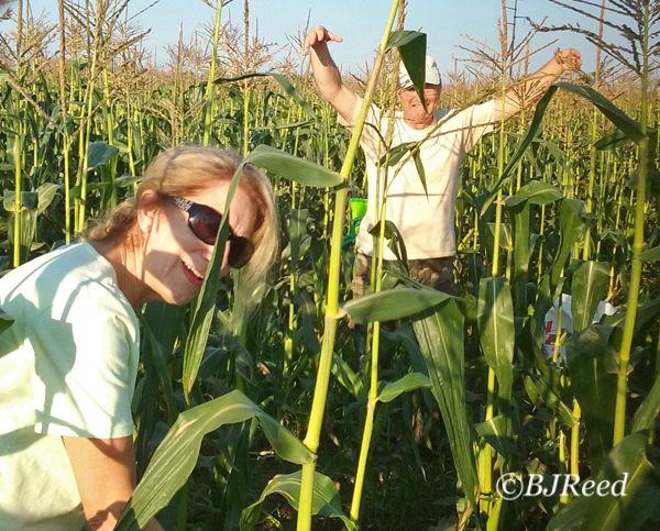 BJ and fellow gleaner Jerry, having fun like Jay told us!