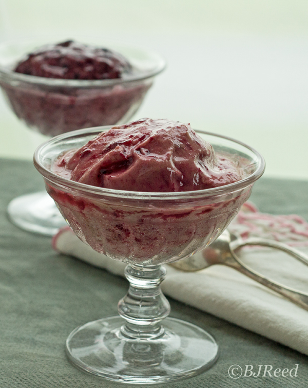 Ice Cream Made with Bananas and Blueberries