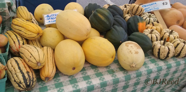 Various Winter Squash at the Market