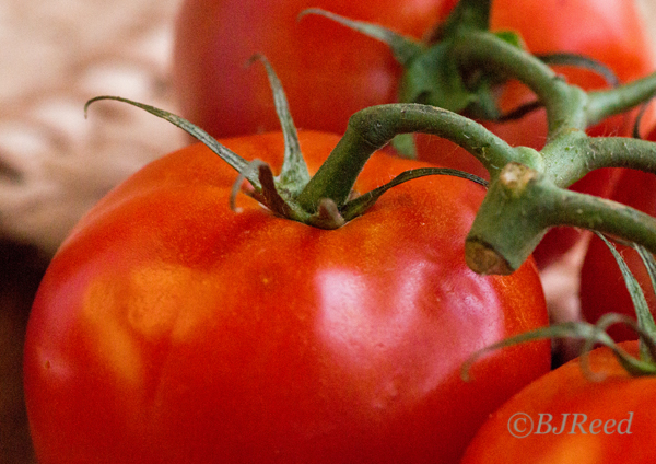 Fresh Home Grown Tomatoes 