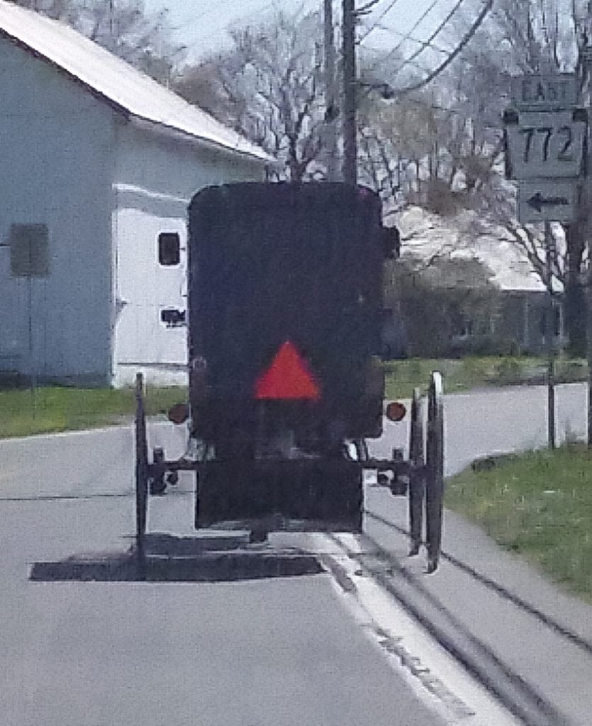 Buggy into Lititz PA.