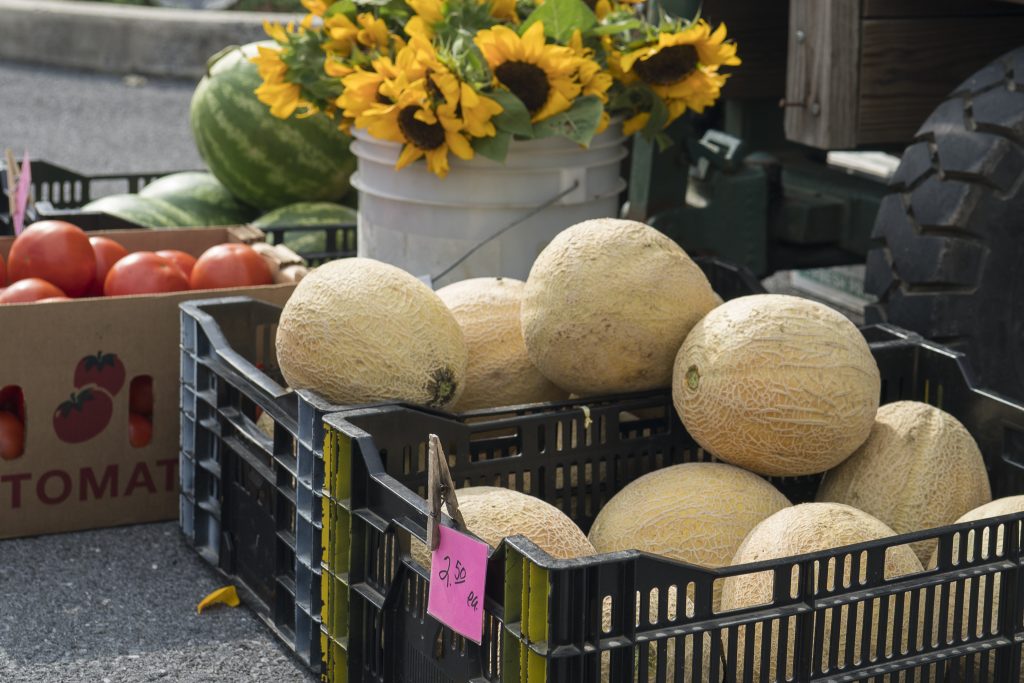 Sunflowers and melons.