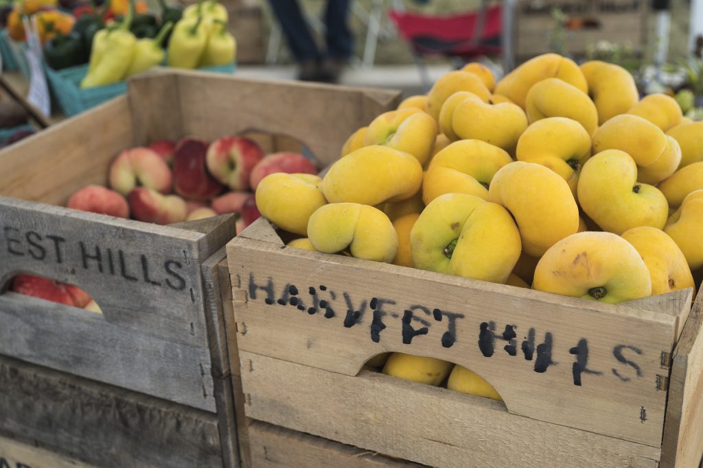 Harvest Hills - beautiful PA peaches.