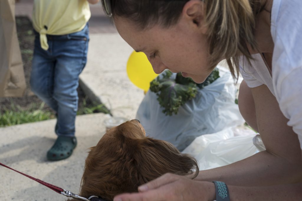 Zipper gets pets from a tender dog-mom.