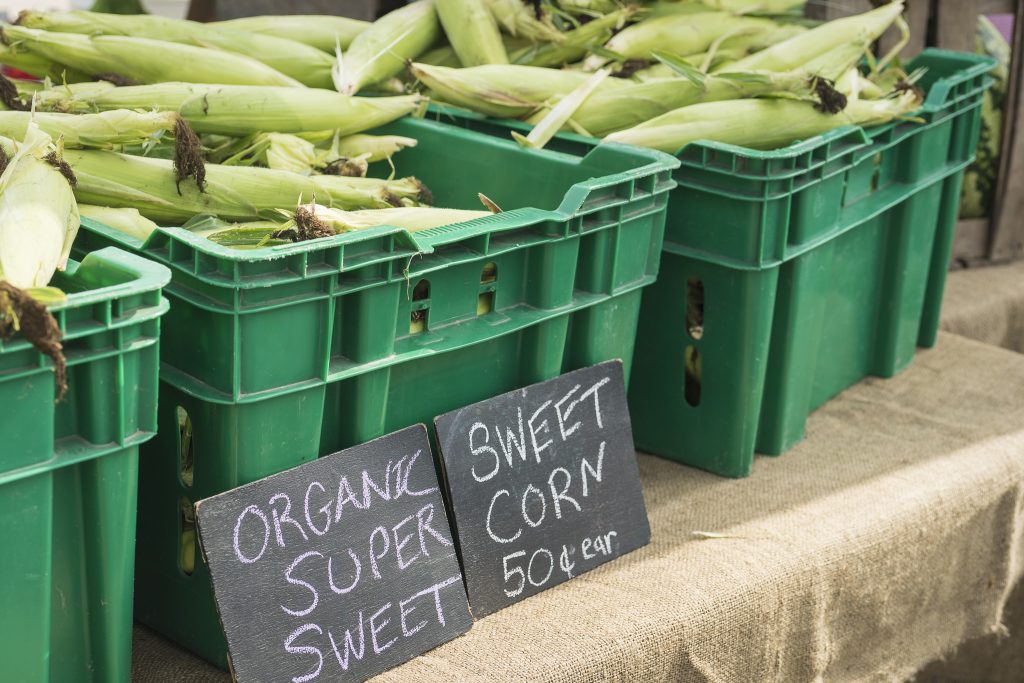 Always looking for sweet, sweet corn.