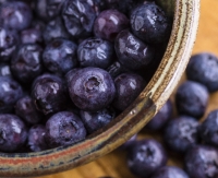 FRESH BLUEBERRIES