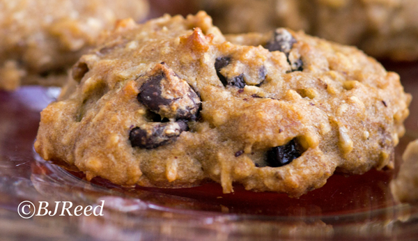 Coconut Almond Butter Chocolate Chip Cookies