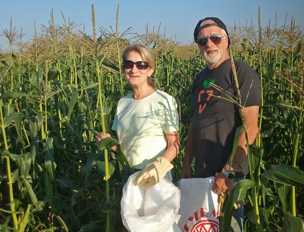 Me and Tom gleaning corn at Etter's.