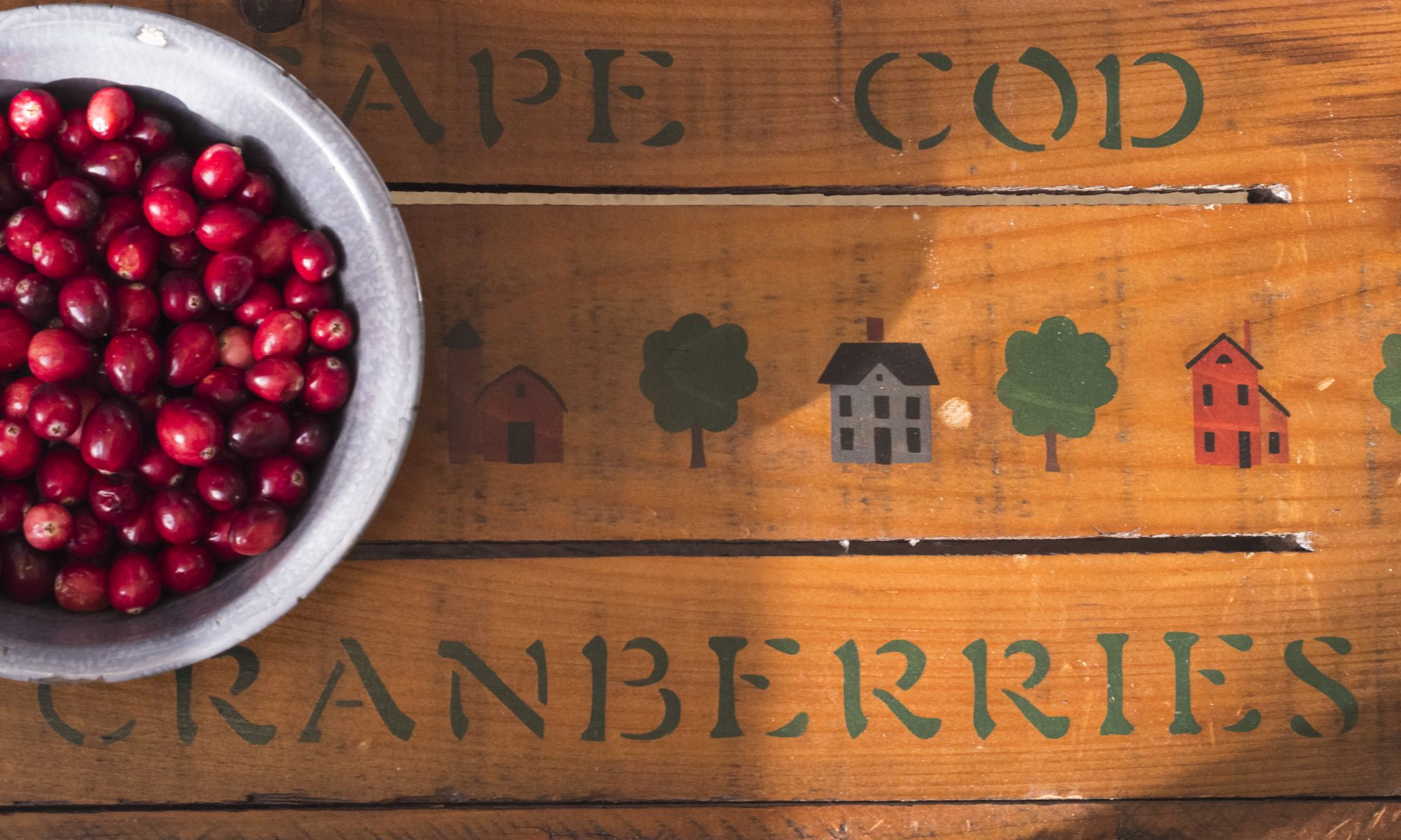 FRESH CRANBERRIES