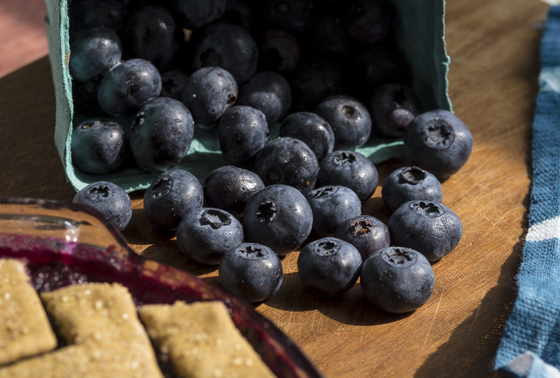 FRESH BLUEBERRIES